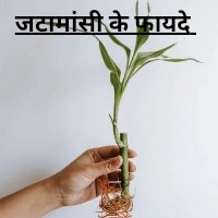 Jatamansi benefits