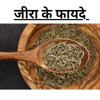 Cumin hindi