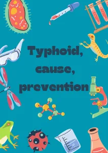 Typhoid Causes 