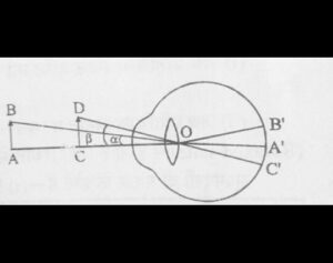 दर्शन कोण