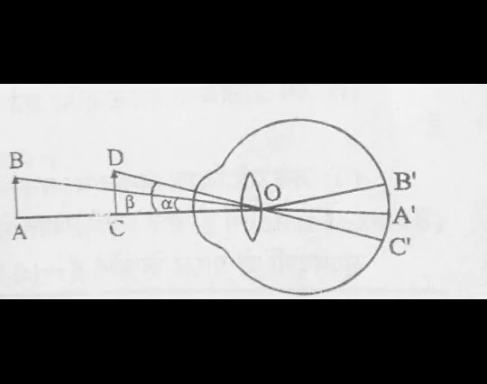 दर्शन कोण