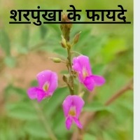 शरपुखा के फायदे