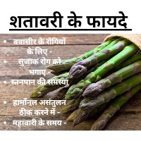 Shatavari ke fayde
